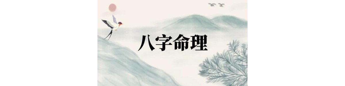左林《八字命理实战》视频课程18集