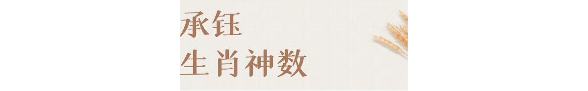承钰《生肖神数》